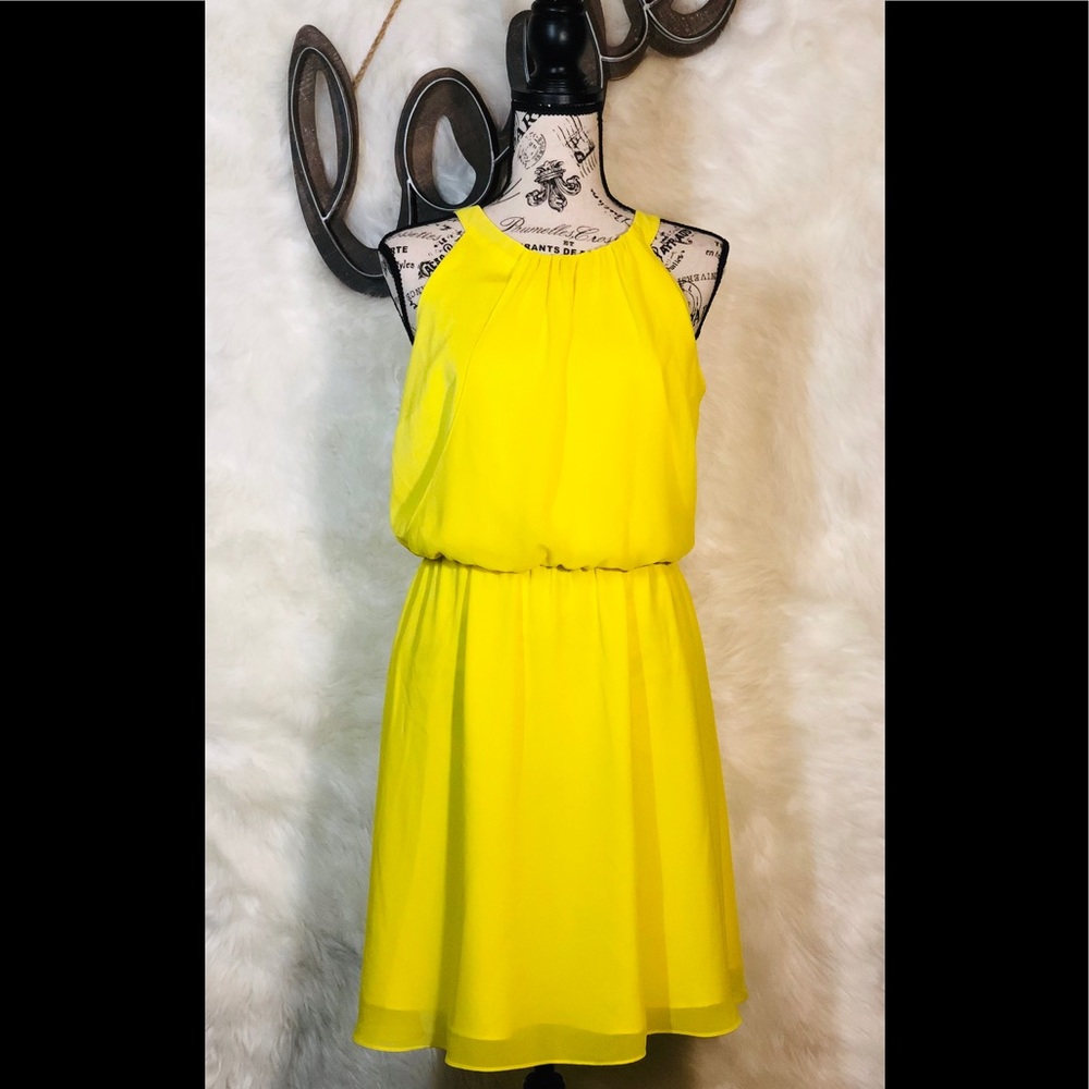 Gianni Bini Dress